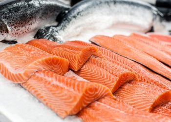 Harga Salmon Selangit, Ini Fakta di Balik Ikan Favorit Dunia