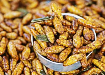 Makanan Unik Halal Ini Laris Manis di Luar Negeri, Konsumen Penasaran