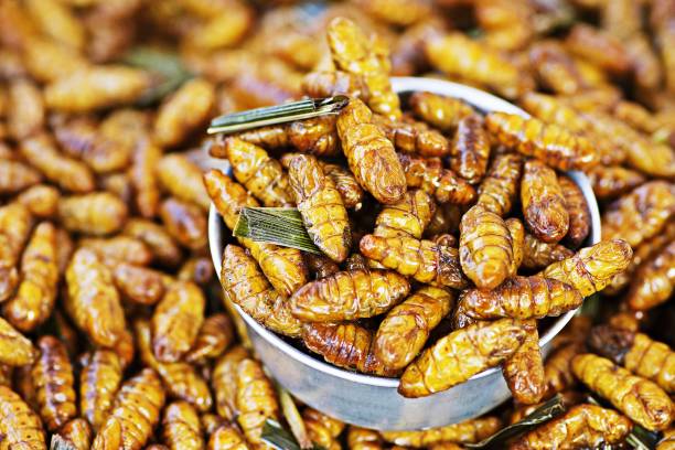 Makanan Unik Halal Ini Laris Manis di Luar Negeri, Konsumen Penasaran