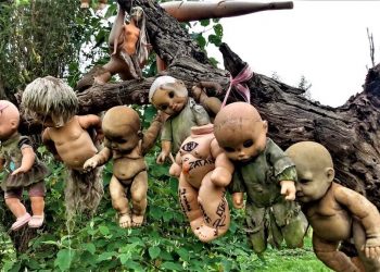 Di Meksiko Ada Wisata Menarik yaitu Island of the Dolls