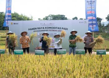 Perkuat Pertanian Ramah Lingkungan, Pupuk Indonesia Ajak Petani Optimalkan Pupuk Organik Bersubsidi