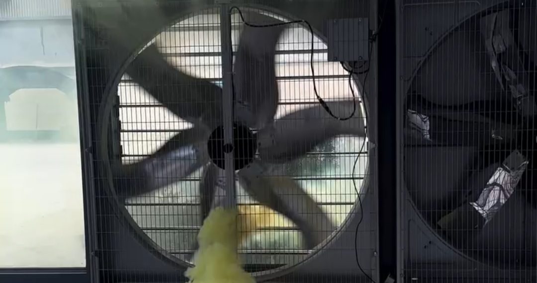 Peran Penting Exhaust Fan Menjaga Kesehatan Kandang Unggas