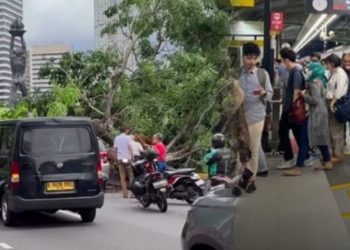 Pohon Tumbang Ganggu Operasional, MRT Jakarta Hentikan Layanan di Sebagian Rute