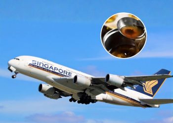 Minyak MBG Bekas Goreng Dijual Dua Kali Lipat untuk Bahan Bakar Pesawat