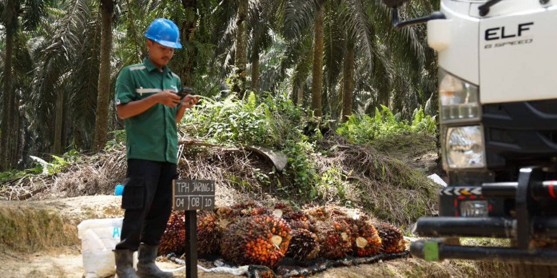 Kebun sawit Astra Agro.