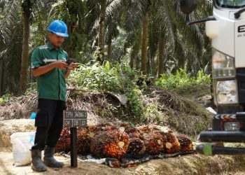 Kebun sawit Astra Agro.