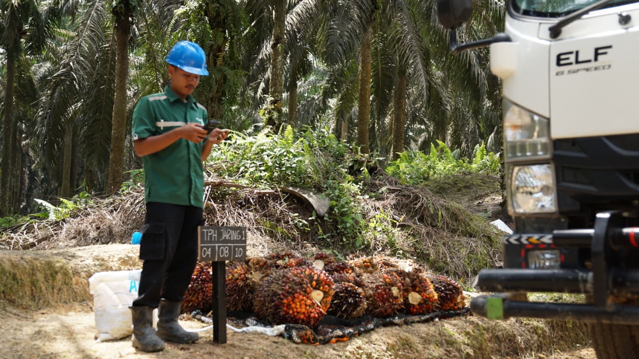 Astra Agro Dorong Produktivitas dan Keberlanjutan Sawit Lewat Transformasi Digital dan Ketelusuran