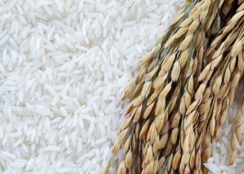 Perbandingan Harga Gandum dan Beras Bentuk Pola Makan Tiap Wilayah