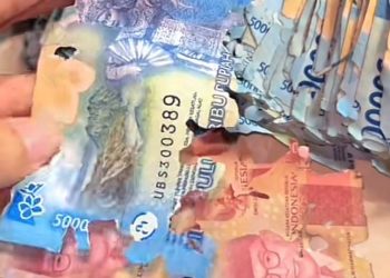 Uang Tabungan Wanita Ini Ludes Digerogoti Rayap