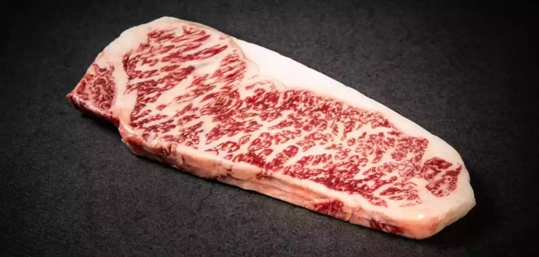Kenapa Wagyu A5 Bisa Semahal Itu? Ini Penjelasannya