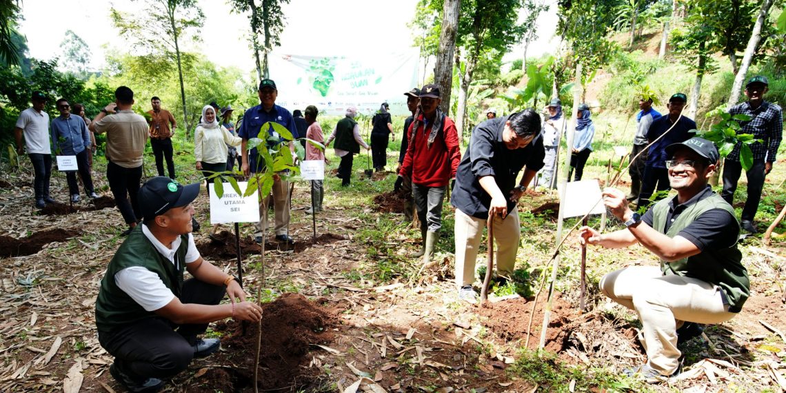 SEI Hijaukan Bumi Tebar 1.000 Bibit Tanaman di Bandung