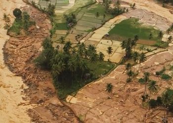 Warga Sumatra Diminta Waspada Risiko DBD dan Leptospirosis