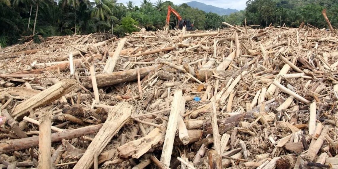 Penanganan Bencana Sumatera, Bantuan Kemensos Capai Rp 100,4 M