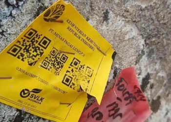 Kayu Berstiker Resmi di Lampung Bukan Hasil Banjir, Kemenhut Klarifikasi