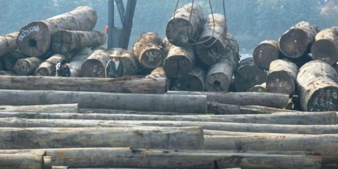 Bencana Ekologis dan Rugi Rp 447 M, Bos PT BRN Diseret ke Pengadilan