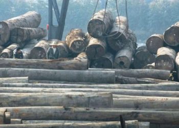 Bencana Ekologis dan Rugi Rp 447 M, Bos PT BRN Diseret ke Pengadilan