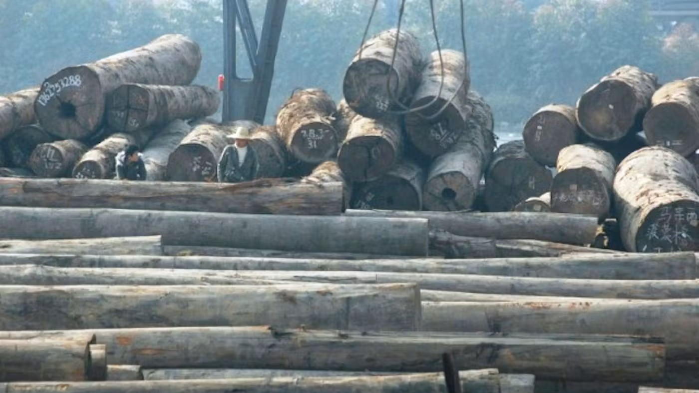 Bencana Ekologis dan Rugi Rp 447 M, Bos PT BRN Diseret ke Pengadilan