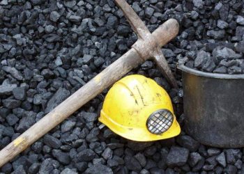 ESDM Jelaskan Alasan Denda Tambang di Hutan Beda-Beda Nilainya