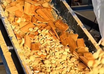 Makanan Kedaluwarsa Kini Diolah Ulang Menjadi Pakan Hewan