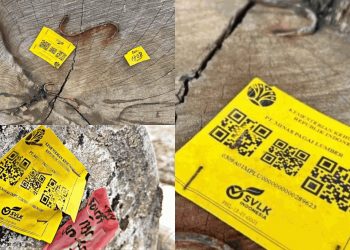 Kayu Berstiker Resmi Kemenhut Terdampar di Pesisir Barat, Polisi Telusuri Asalnya