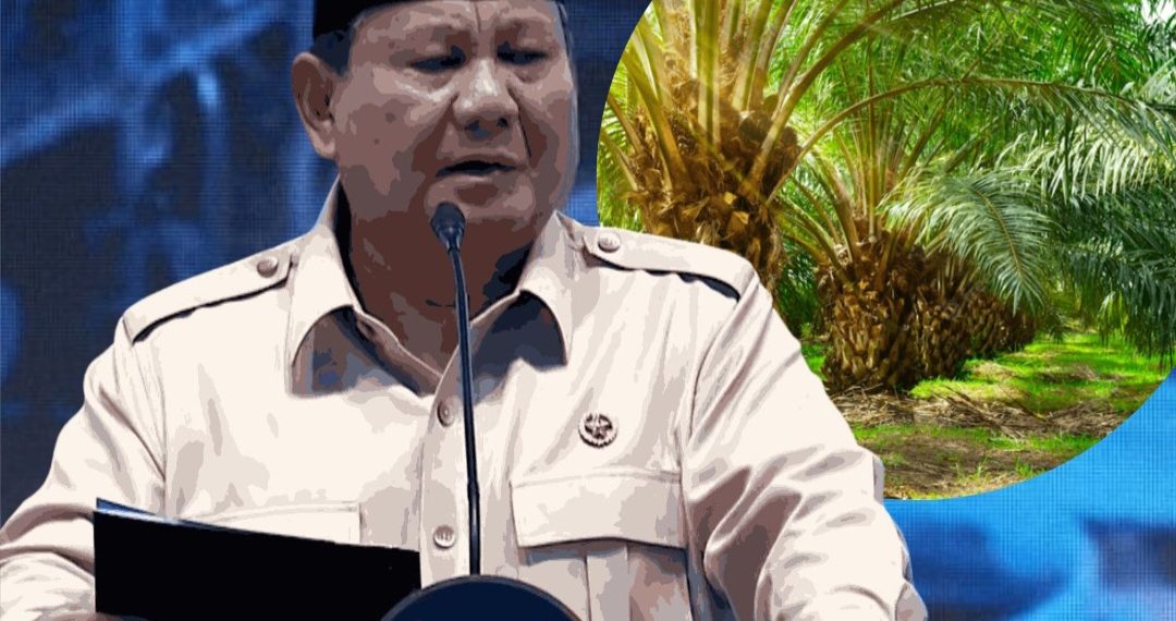 Pernyataan Presiden Soal Kelapa Sawit dan Pohon Hutan Tuai Perdebatan Publik