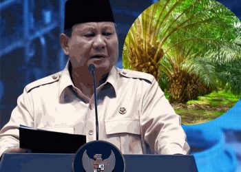 Pernyataan Presiden Soal Kelapa Sawit dan Pohon Hutan Tuai Perdebatan Publik