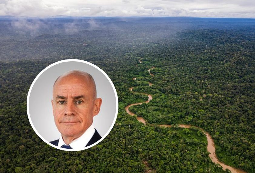 Triliuner Swedia Beli 160 Ribu Hektare Hutan Amazon buat Lindungi Alam