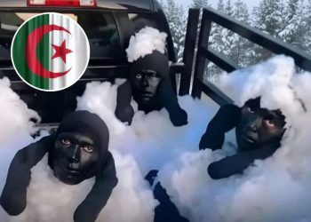 Tiga Pria di Aljazair Nyamar Jadi Domba saat Nyeberang ke Spanyol