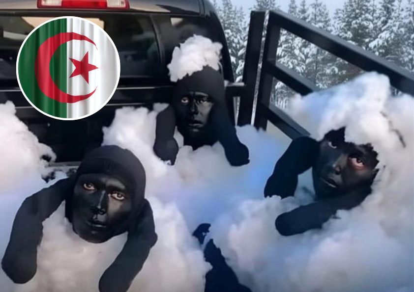 Tiga Pria di Aljazair Nyamar Jadi Domba saat Nyeberang ke Spanyol