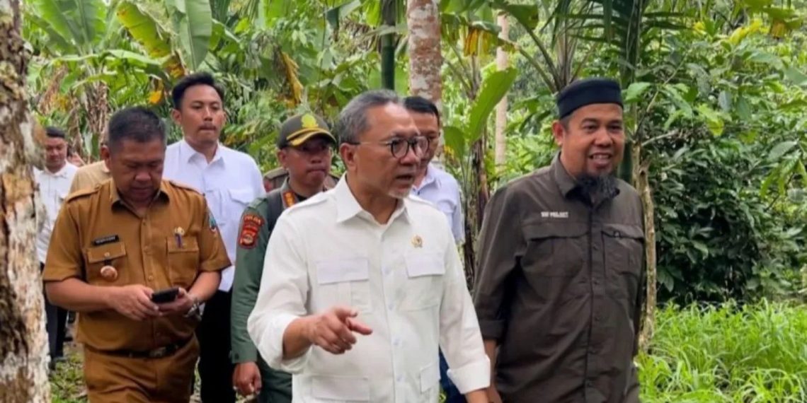 1,64 Juta Hektar Hutan Dibabat Zulhas, Polemik Sawit Mencuat