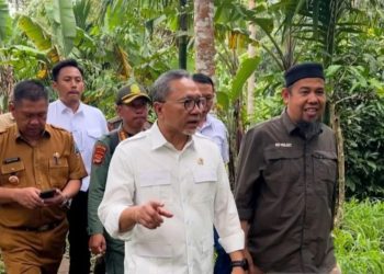 1,64 Juta Hektar Hutan Dibabat Zulhas, Polemik Sawit Mencuat