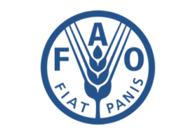 FAO Ungkap 43,5% Warga Indonesia Sulit Akses Pangan Bergizi, Program MBG Jadi Tumpuan Negara