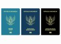 Ketahui Jenis Paspor Indonesia Sebelum Bepergian ke Luar Negeri
