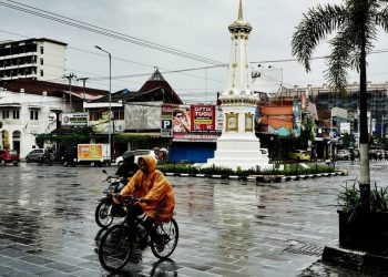 Cuaca Ekstrem Landa DIY, Puluhan Pohon Tumbang dan Longsor Rusak Permukiman