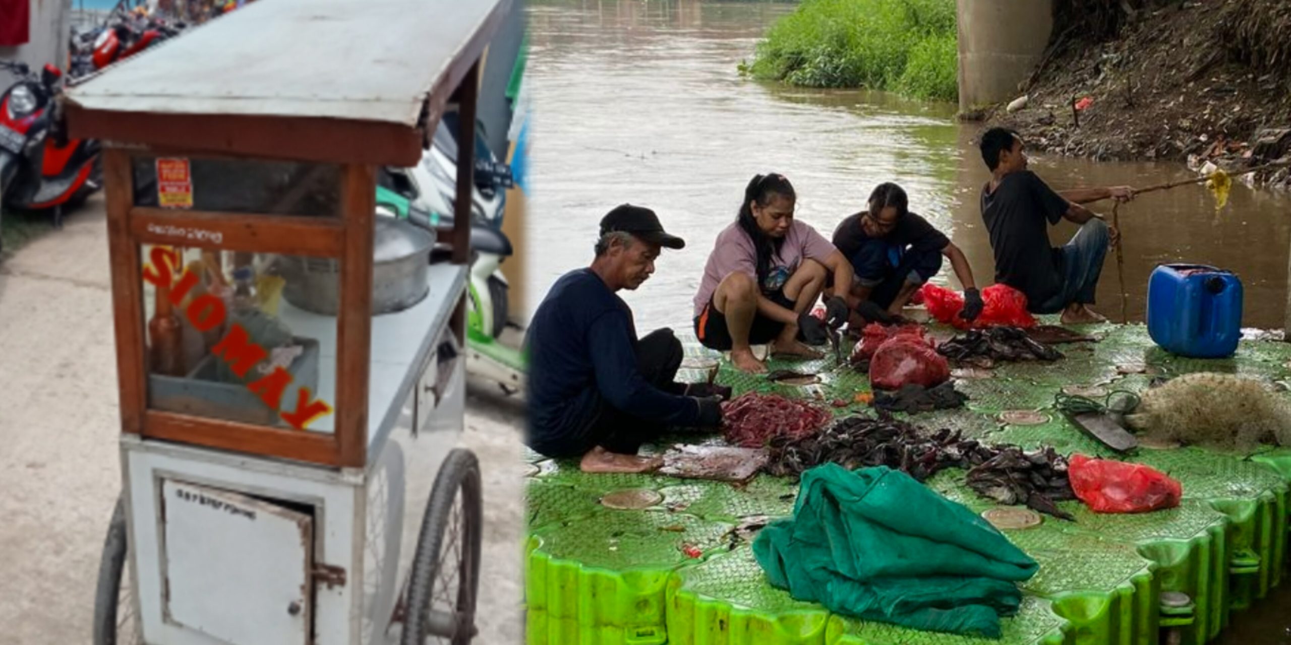Mengenali Siomay Berbahan Ikan Sapu-sapu: Warna Cenderung Gelap dan Aroma Lebih Menyengat