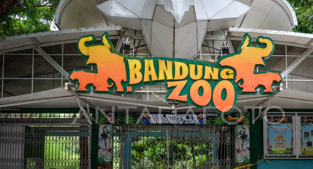 Pemkot Bandung Segera Putuskan Masa Depan Bandung Zoo, Aspek Sejarah Jadi Pertimbangan Utama