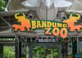 Pemkot Bandung Segera Putuskan Masa Depan Bandung Zoo, Aspek Sejarah Jadi Pertimbangan Utama