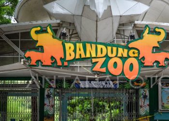 Pemkot Bandung Segera Putuskan Masa Depan Bandung Zoo, Aspek Sejarah Jadi Pertimbangan Utama