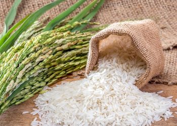 Beras Mau Disamaratakan, Pemerintah Terapkan Satu Harga Nasional