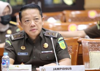 Kejagung Selidiki Dugaan Tindak Pidana 28 Perusahaan Pelanggar Kawasan Hutan di Sumatera