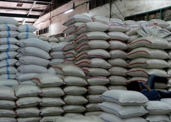 Harga Beras Awal Tahun Rawan Bergejolak, DPR Nilai Perpanjangan SPHP Penting Jaga Daya Beli