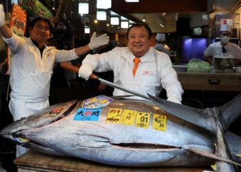 Wujud Tuna 243 Kg yang Terjual Rp 53 Miliar di Jepang