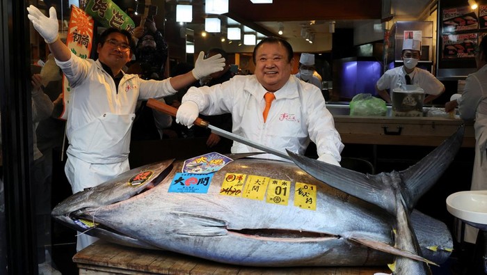 Wujud Tuna 243 Kg yang Terjual Rp 53 Miliar di Jepang