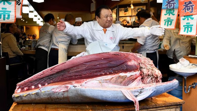 Lelang Tuna Jepang Pecah Rekor, Harganya Tembus Rp54 M