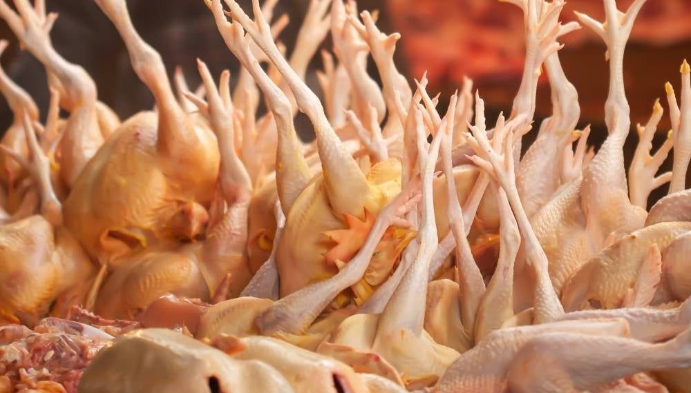 Meski Pasokan Aman, Harga Ayam dan Telur Masih Mahal