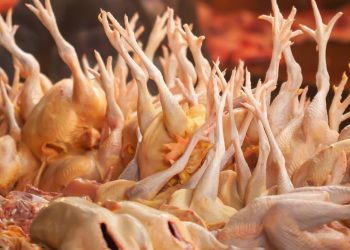 Meski Pasokan Aman, Harga Ayam dan Telur Masih Mahal