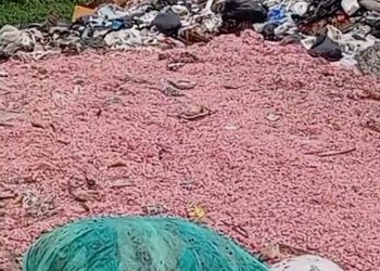 Siwir-siwir Diduga Uang Pecahan Rp 50.000–Rp 100.000 Ditemukan di TPS Liar Bekasi