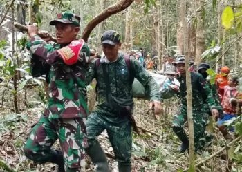 Tim Gabungan TNI Evakuasi Jenazah Pilot Pesawat Pelita Air yang Jatuh di Nunukan