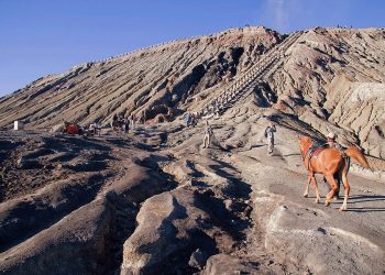 7 Koper Turis Thailand Hilang di Bromo, Kerugian Tembus Rp 108 Juta