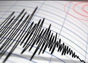 Gempa Magnitudo 4,1 Guncang Perairan Maluku Barat Daya